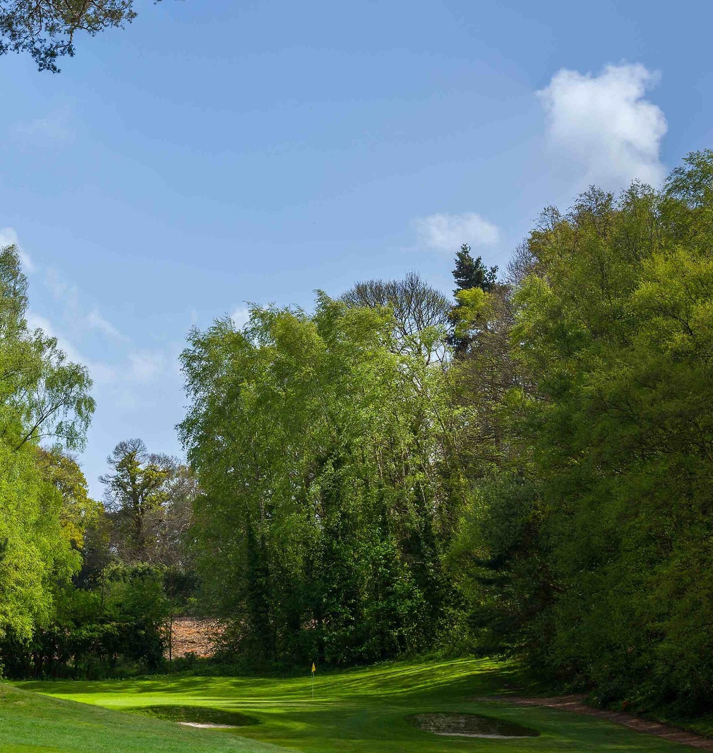 Meon Valley Golf Meon Valley Golf