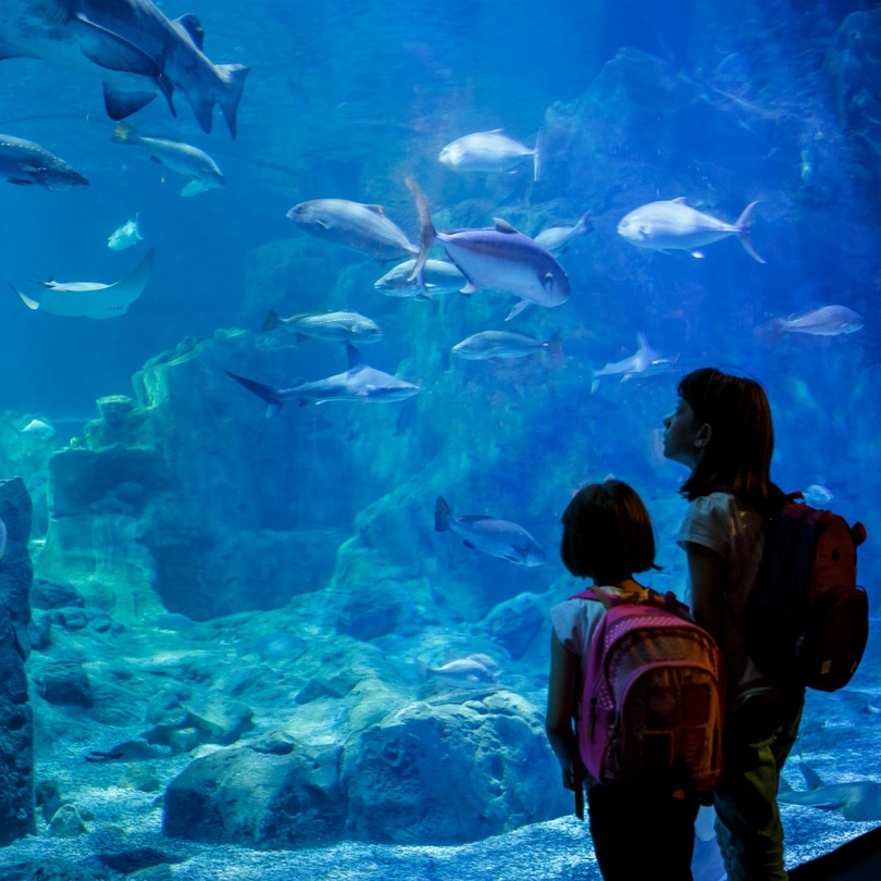 Blue Planet Aquarium Blue Planet Aquarium
