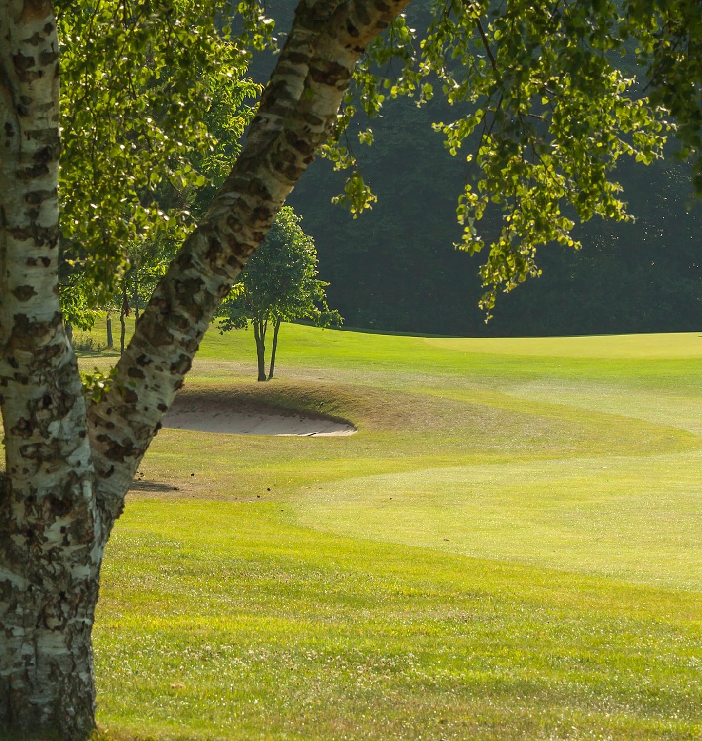 Sprowston Manor Golf Course