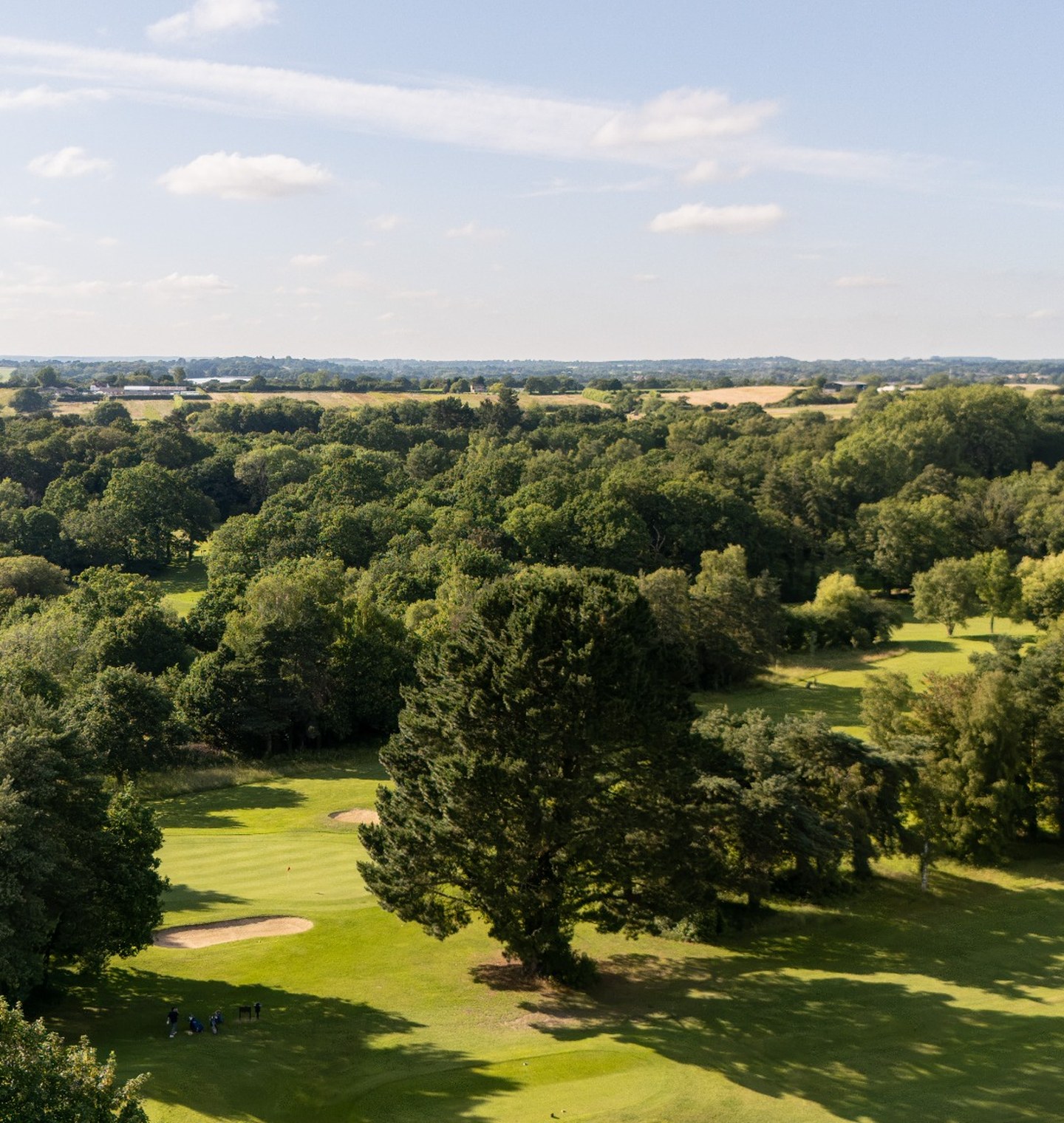 Green Fees Green Fees
