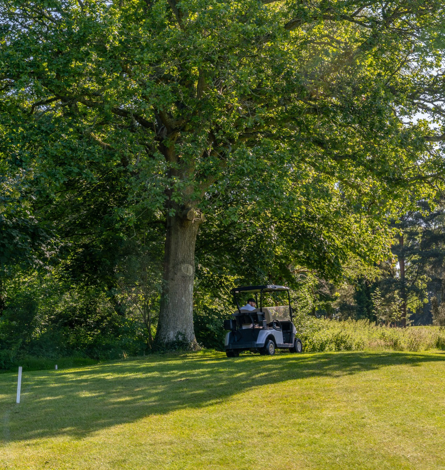 Golf Course Features Golf Course Features