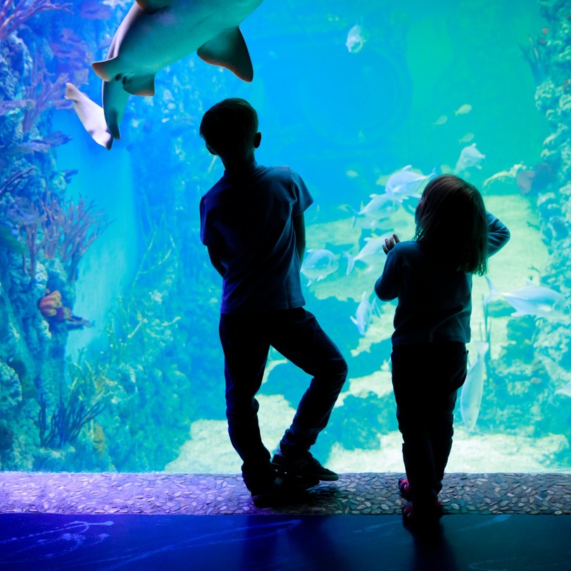 Sealife Blackpool Sealife Blackpool