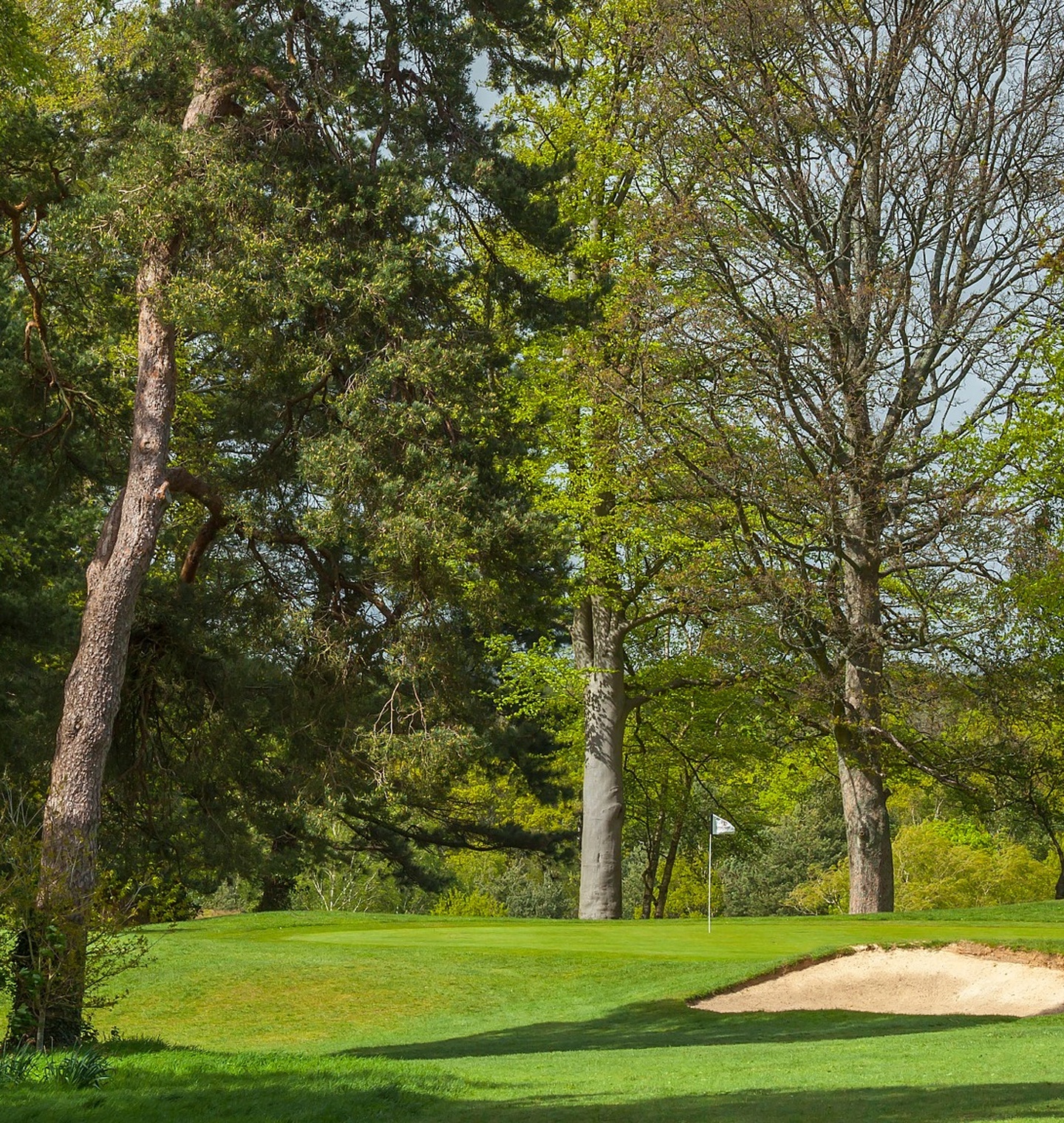 Meon Valley Golf Meon Valley Golf