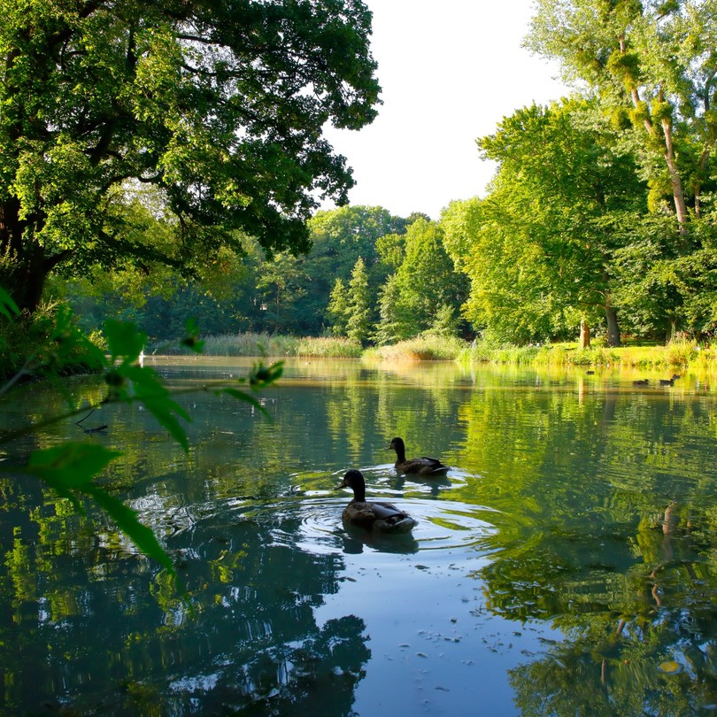 Ryton Pools Country Park
