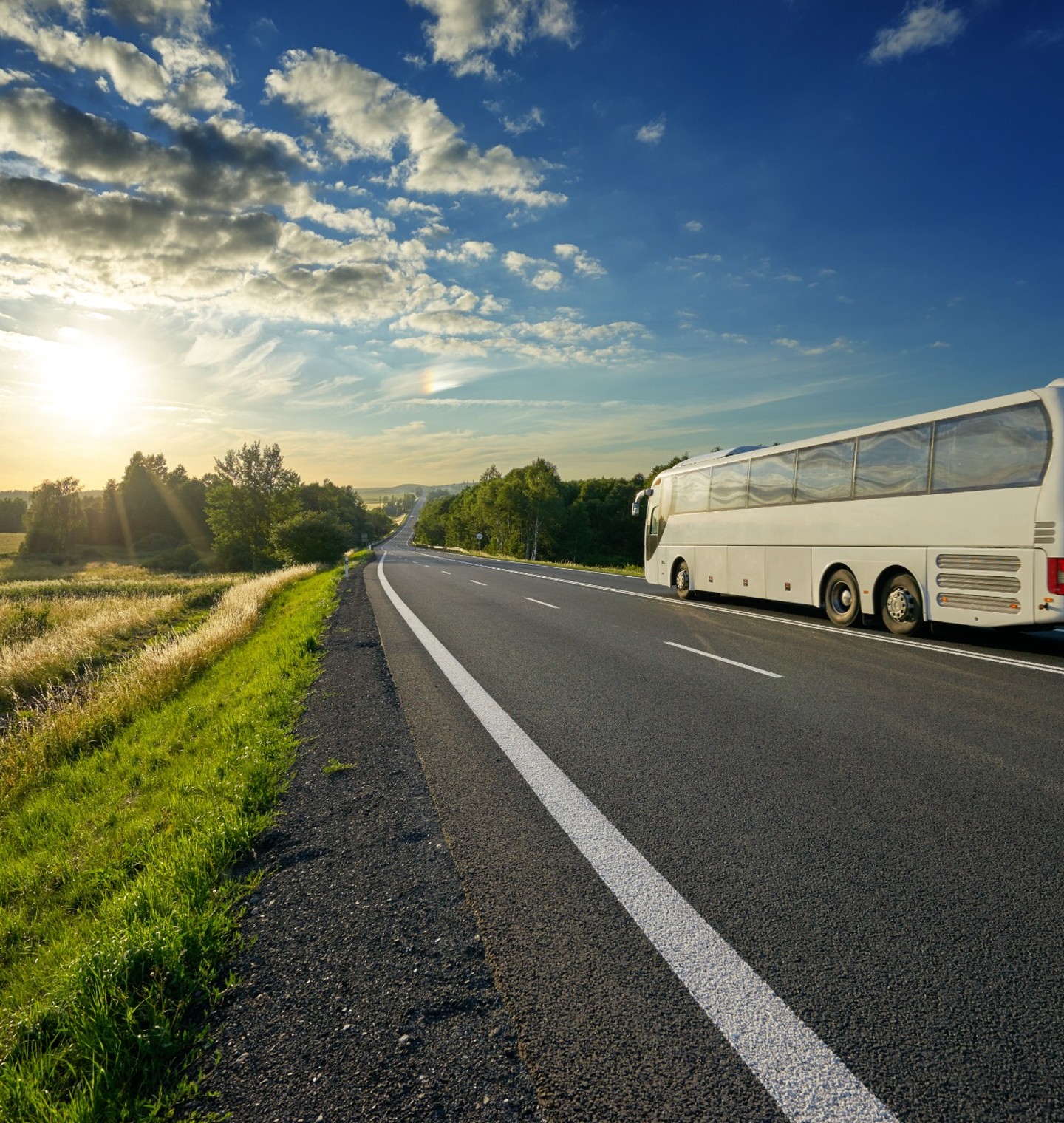Coach Tours