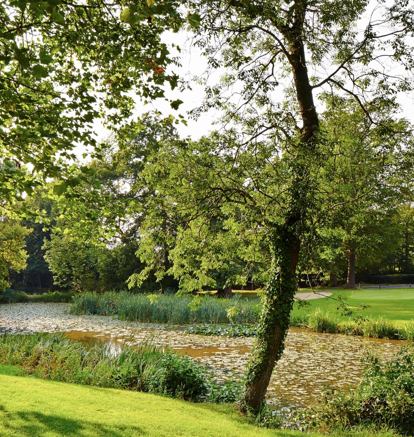 Meon Valley Golf Meon Valley Golf