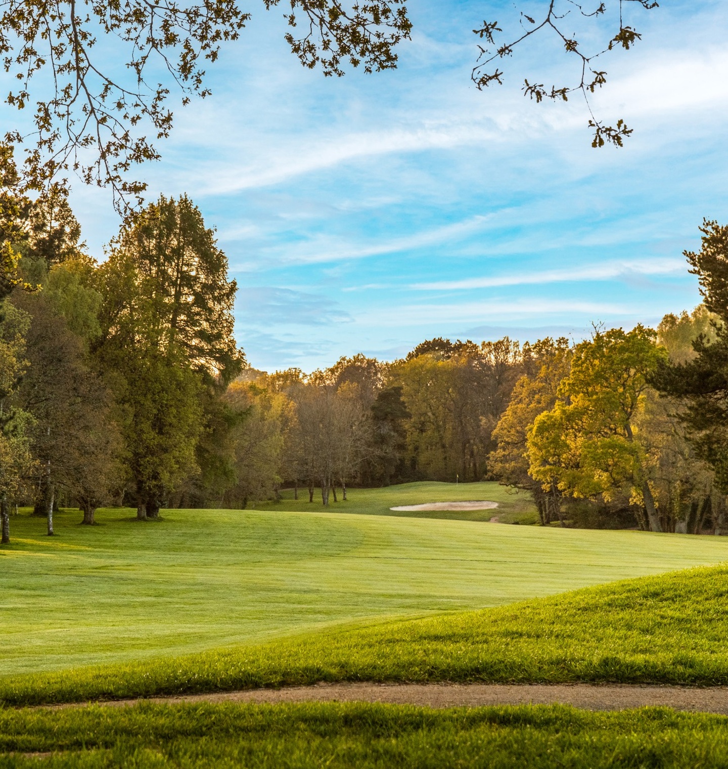 Meon Valley Golf Meon Valley Golf