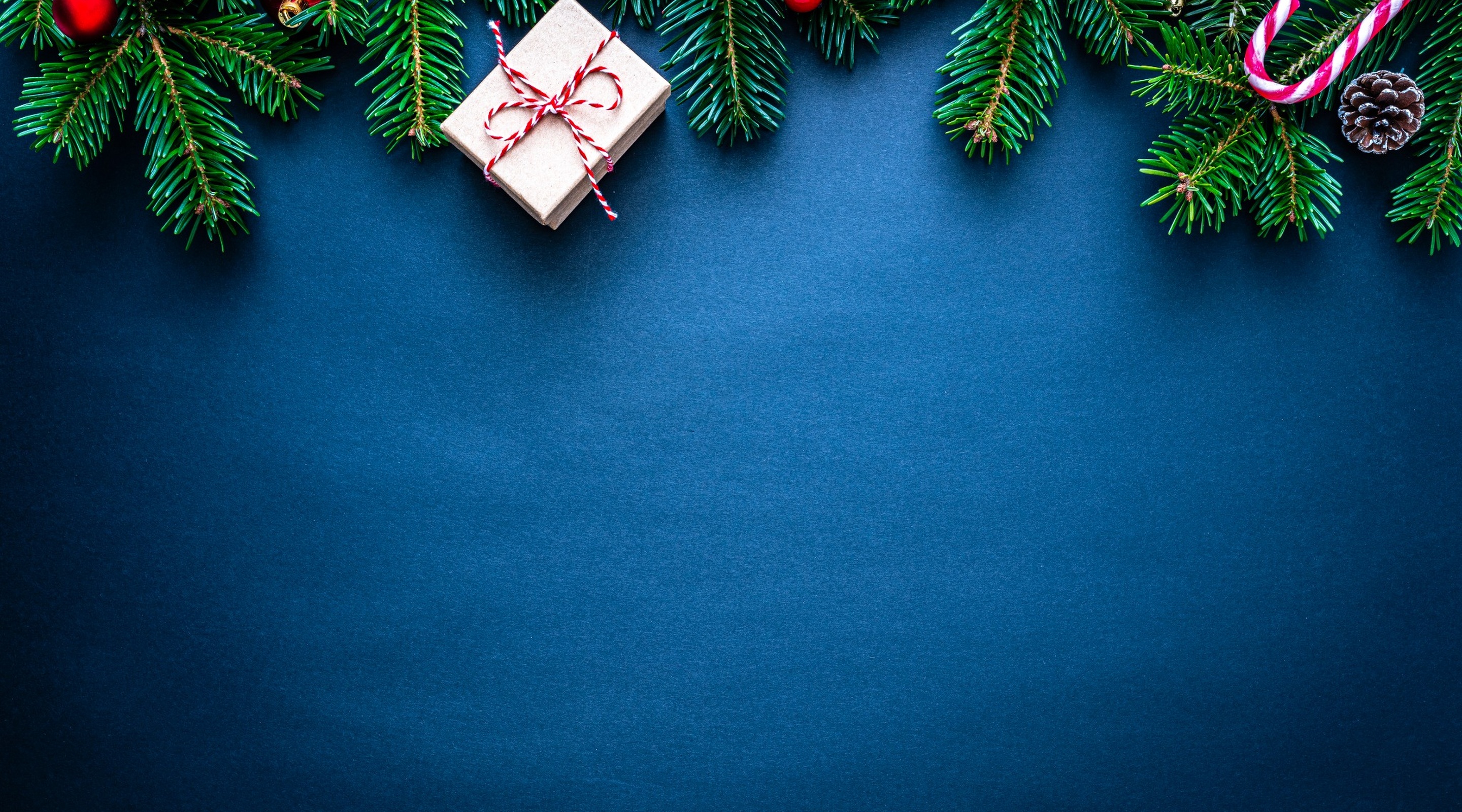 Festive Seasonal Offers