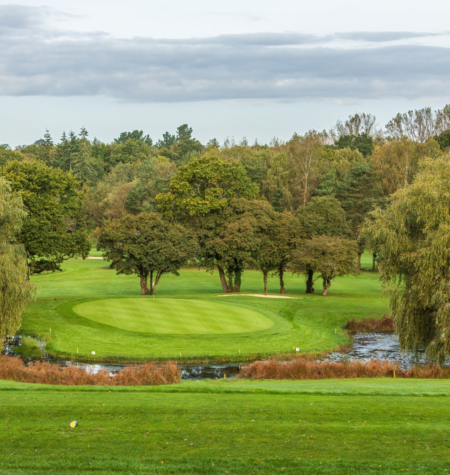 Meon Valley Hotel Golf