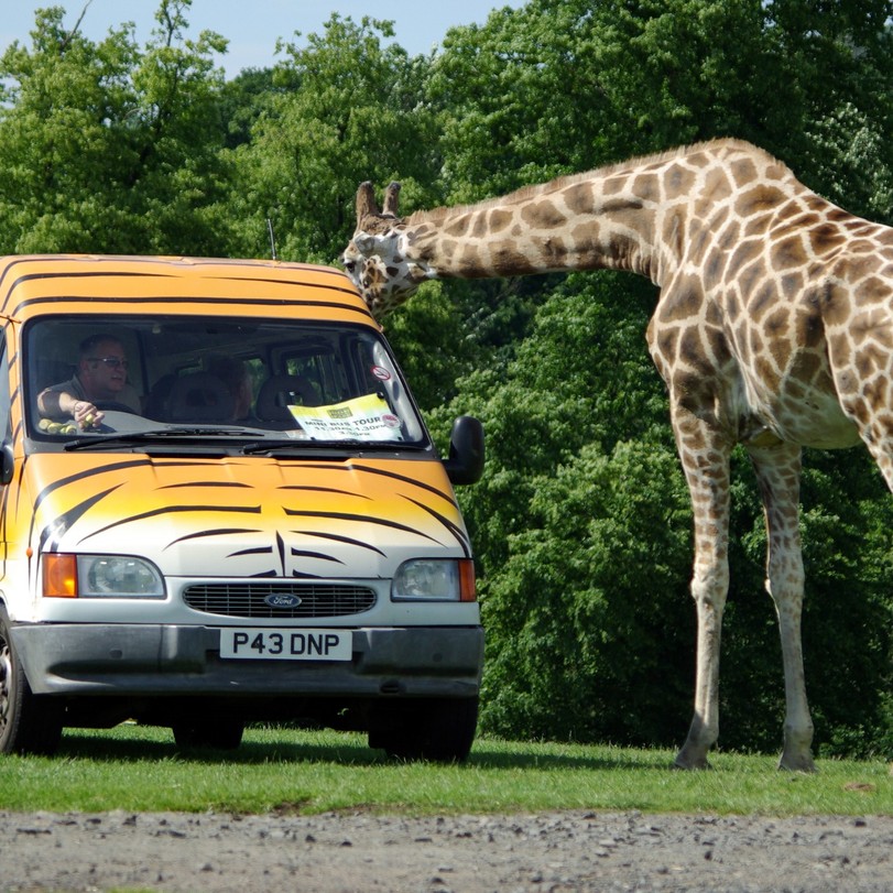 West Midlands Safari Park