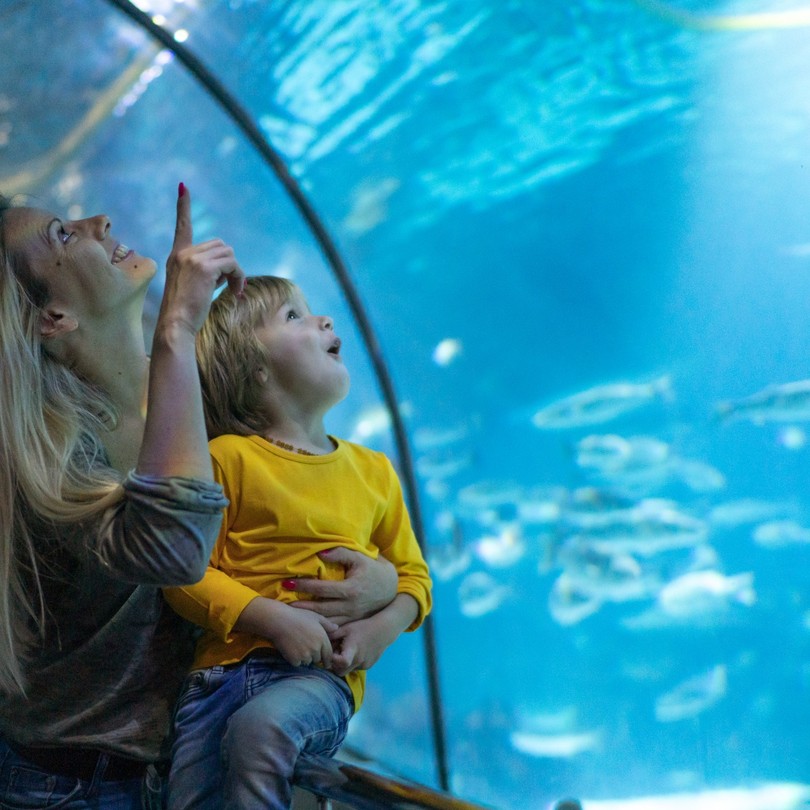 Bournemouth Oceanarium